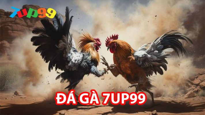 trận đá gà tại 7UP99